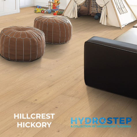 HYDROSTEP 1
