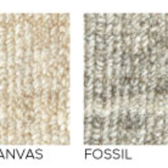 divinity-colors divinity-colors