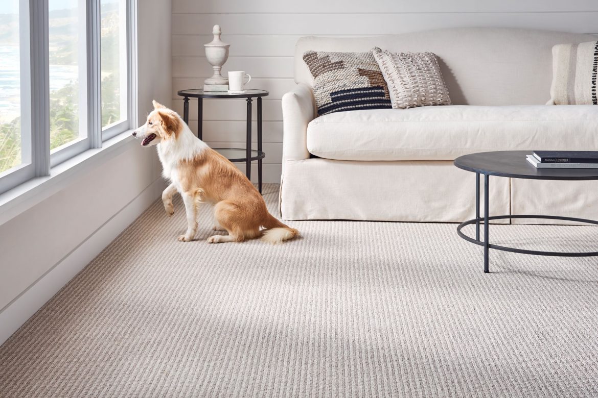 Professional Carpet Installation: The Carpet Plus Guarantee